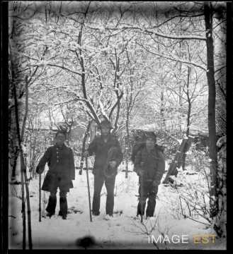 Travailleurs forestiers