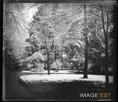 Parc de la Pépinière (Nancy)