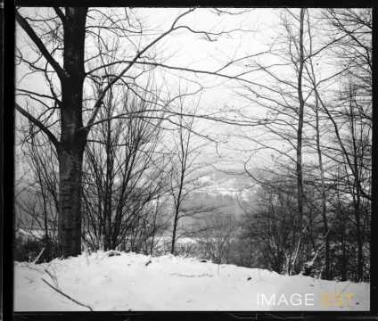 Paysage rural enneigé