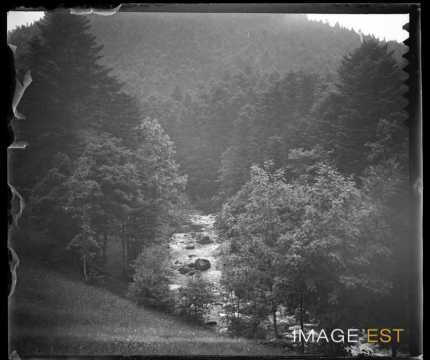 La Vologne (Gérardmer)