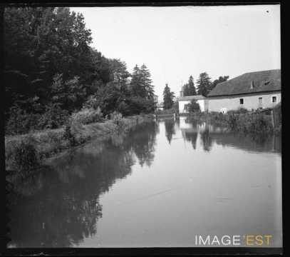 Sur les bords d'un étang