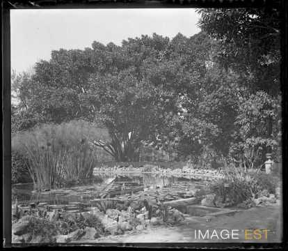 Jardin botanique (Palerme)