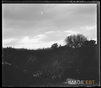 Paysage (Syracuse ?)