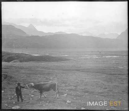 Paysage montagneux (Suisse ?)