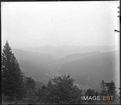 Vallée de Munster (Munster)