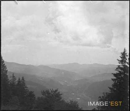 Vallée de Munster (Munster)