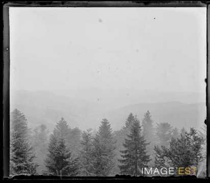Chaîne des Vosges (Munster)