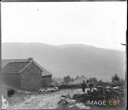 Promeneurs (Munster)