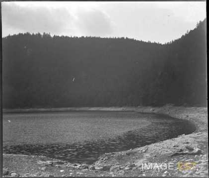 Lac Vert (Munster)
