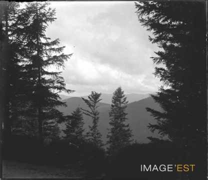 Chaîne des Vosges (Munster)
