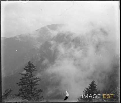 Chaîne des Vosges (Munster)