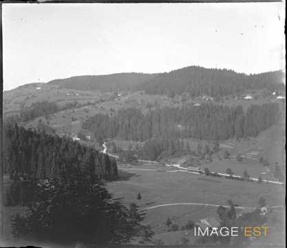Vallée de Munster (?)