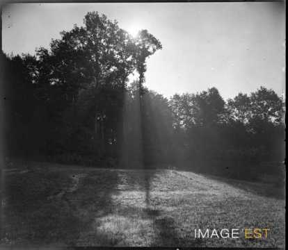 Effet de lumière (Vosges ?)