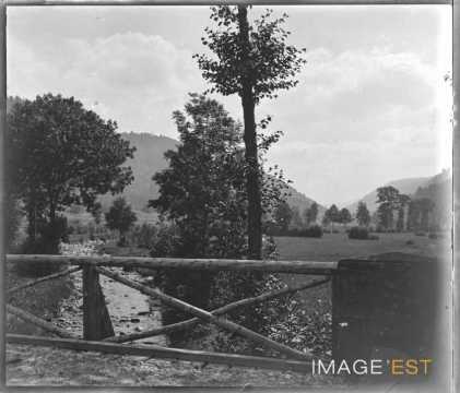 Ruisseau (Vosges ?)