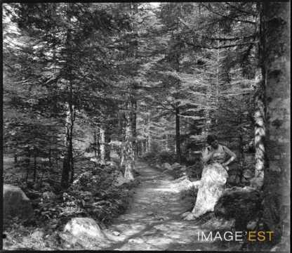 Femme dans une forêt (Vosges)