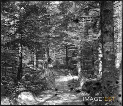 Femme dans une forêt (Vosges)