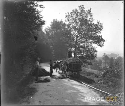 Attelage (Vosges ?)