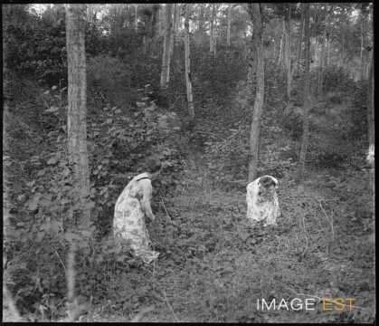 Deux femmes dans une forêt (Vosges ?)