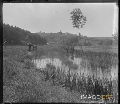 Cours d'eau (Meurthe-et-Moselle ?)