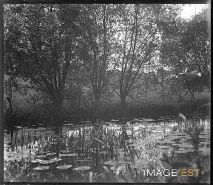 Rivière (Meurthe-et-Moselle ?)
