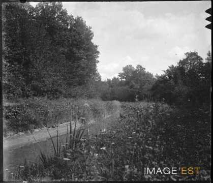 Ruisseau (Meurthe-et-Moselle ?)