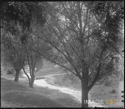 Ruisseau (Meurthe-et-Moselle ?)