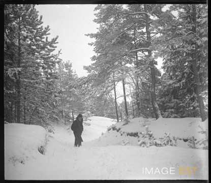Homme dans une forêt enneigée (Meurthe-et-Moselle ?)