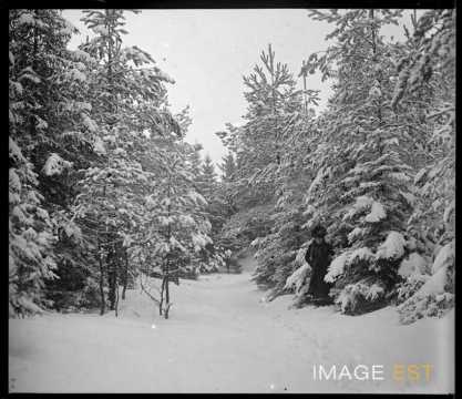 Femme dans une forêt enneigée (Meurthe-et-Moselle ?)