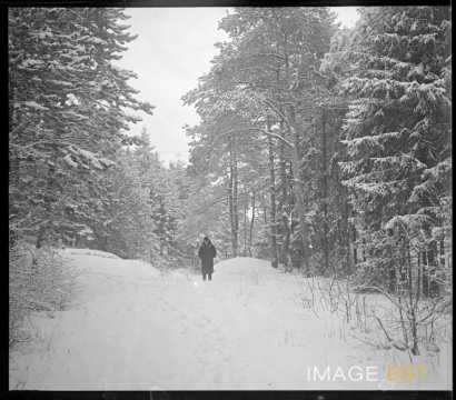 Homme dans une forêt enneigée (Meurthe-et-Moselle ?)