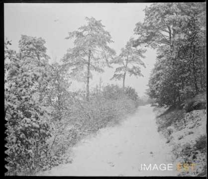 Chemin forestier enneigé (Meurthe-et-Moselle ?)