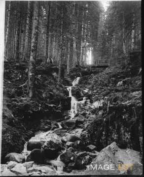 Cascade de la Serva (Neuviller-la-Roche)