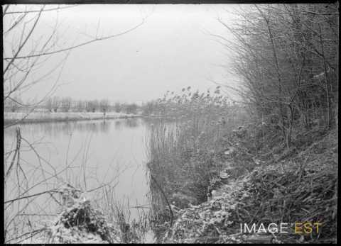 Bord de la Meurthe (Jarville-la-Malgrange ?)