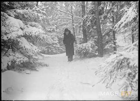 Dans une forêt enneigée (Meurthe-et-Moselle ?)