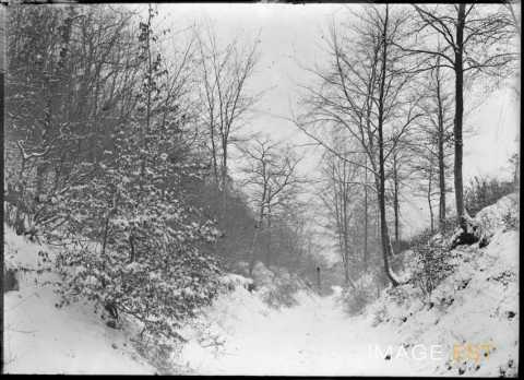 Chemin forestier enneigé (Meurthe-et-Moselle ?)
