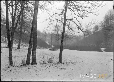 Paysage forestier enneigé (Meurthe-et-Moselle ?)