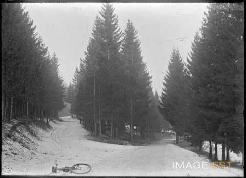 Chemins forestiers enneigés (Meurthe-et-Moselle ?)