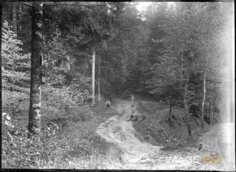 Groupe de personnes dans une forêt (Vosges ?)