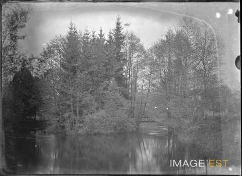 Lac (Vosges ?)