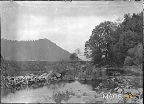 Ruisseau (Vosges ?)