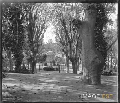 Jardin Marengo (Alger)