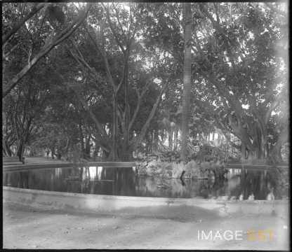 Jardin d'Essai (Alger)