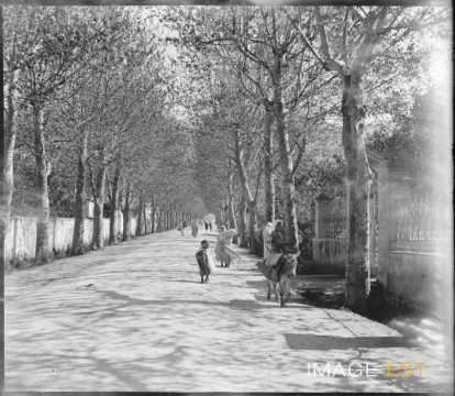 Avenue Bizot (Blida)