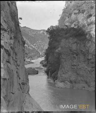 Gorges de Palestro (Ammal)