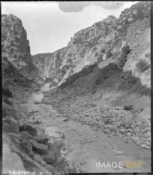 Gorges de Palestro (Ammal)