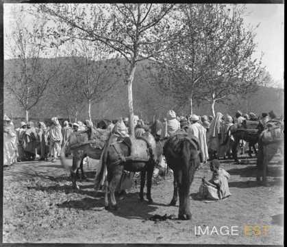 Marché kabyle (Tizi Ouzou)