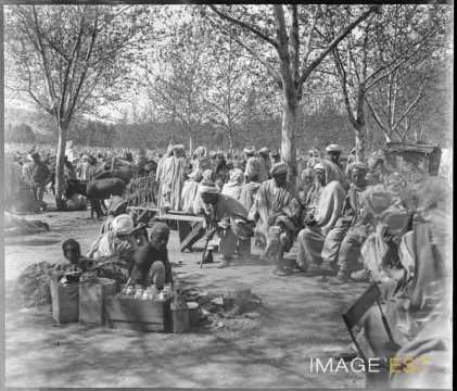 Pause (Tizi Ouzou)