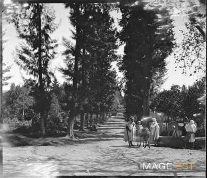 Route (Tizi Ouzou ?)