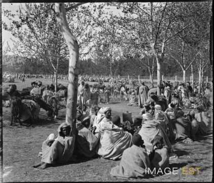 Marché kabyle (Tizi Ouzou)