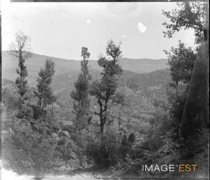 Paysage de montagnes (Kabylie)