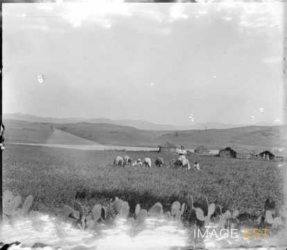 Paysage de montagnes (Kabylie)
